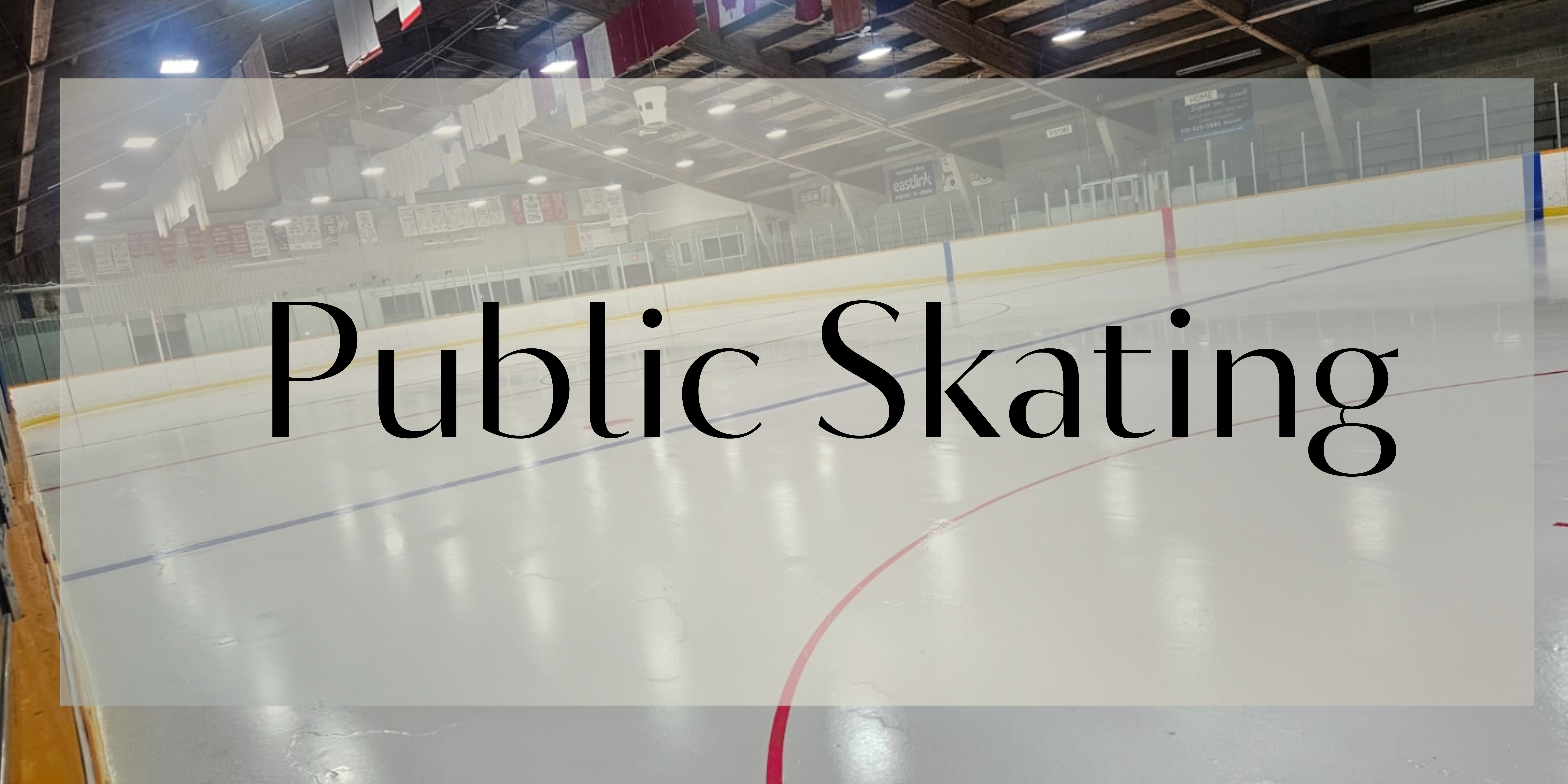 Public Skating