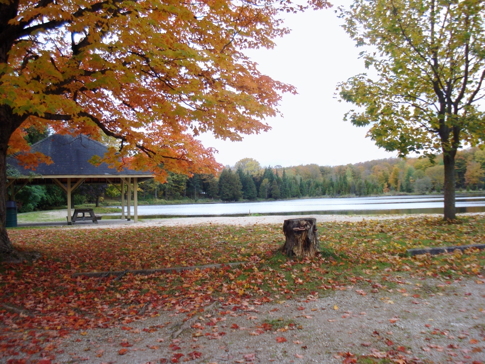 Flesherton Pond